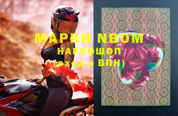 ПСИЛОЦИБИНОВЫЕ ГРИБЫ Аркадак