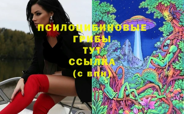 гашиш Арсеньев