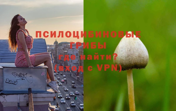 не бодяженный Армянск